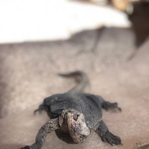 Meet your Posher, Sheila